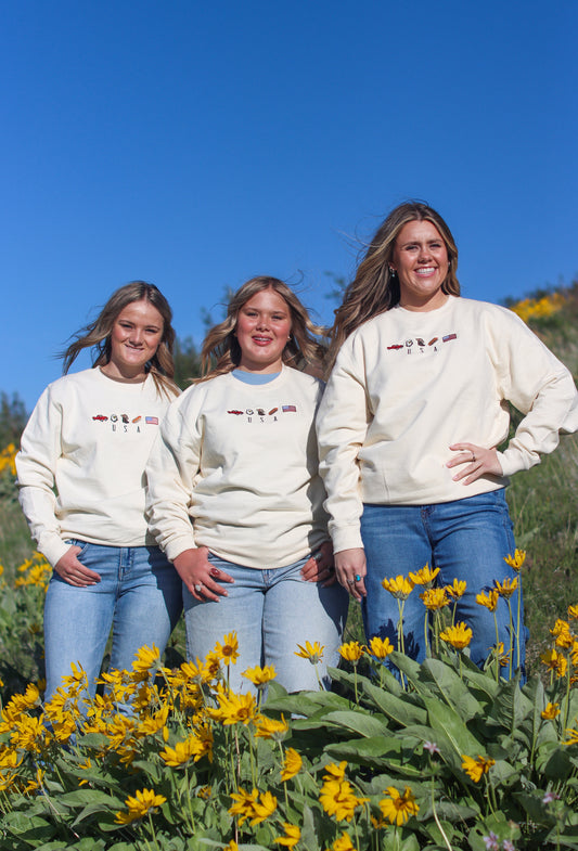 Embroidered USA Crewneck