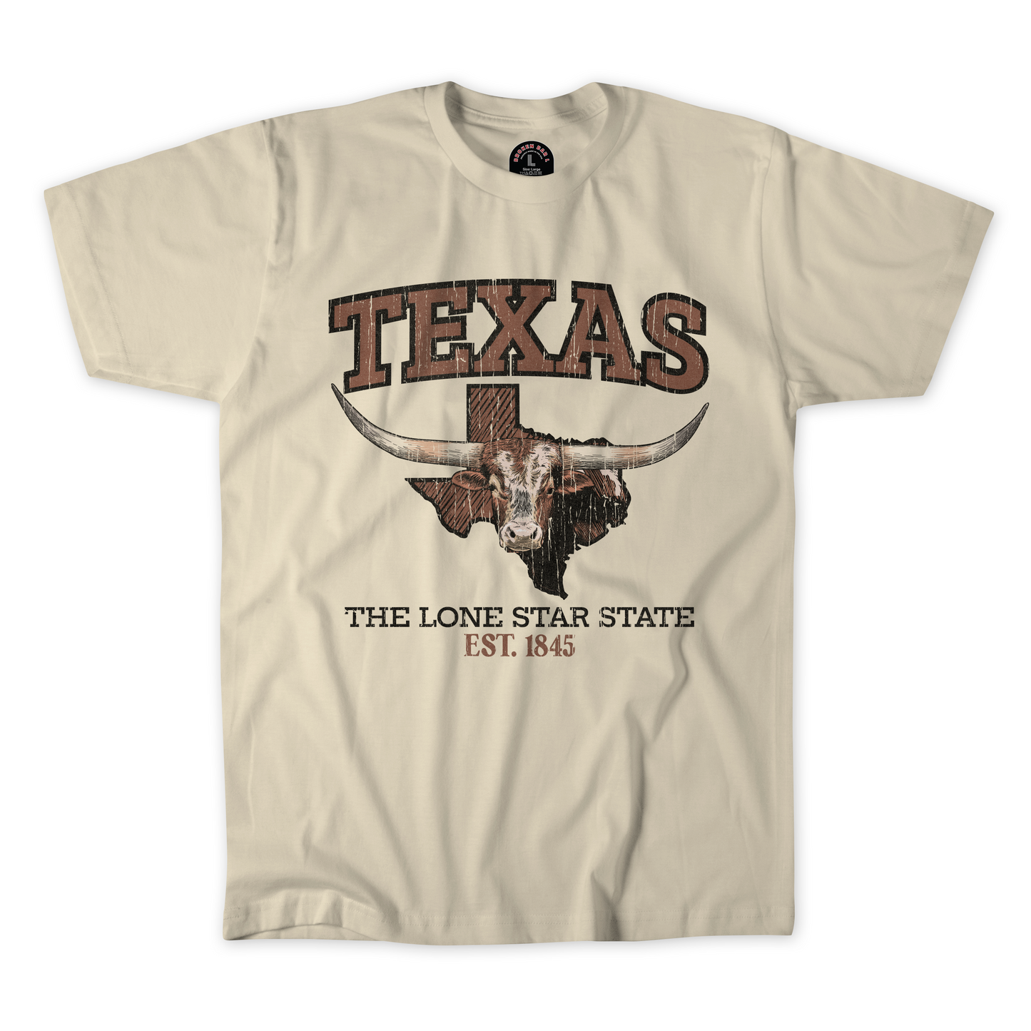TEXAS: The Lone Star State T-shirt